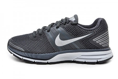 Nike Air Pegasus+ 29 Shield