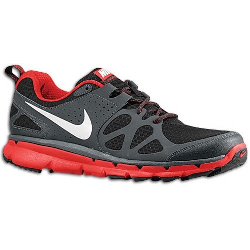 Nike Flex Trail 2