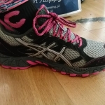 Review Asics GEL-TRAIL LAHAR 5 G-TX 