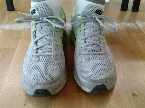 Review Nike Air Pegasus+ 29