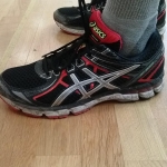 Review Asics GT-2000 2 