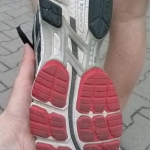 Review Asics GT-2000 2 