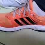 Review Adidas Revenergy Boost 