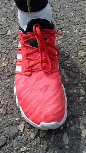 Review Adidas ADIPURE CRAZY QUICK