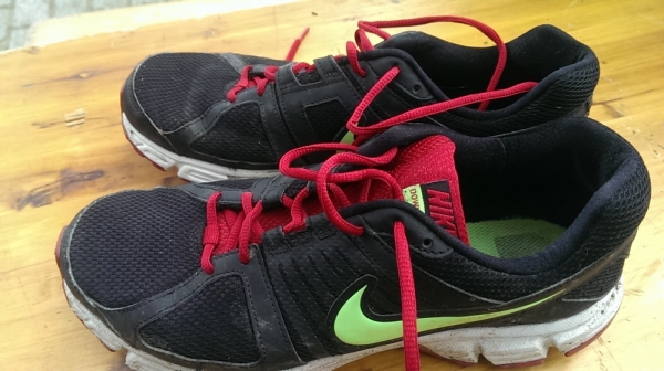 Review Nike Downshifter 5