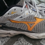 Review Mizuno Wave FORTIS 4 