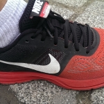 Review Nike AIR PEGASUS+ 30 