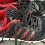 Review Adidas Climacool Ride 