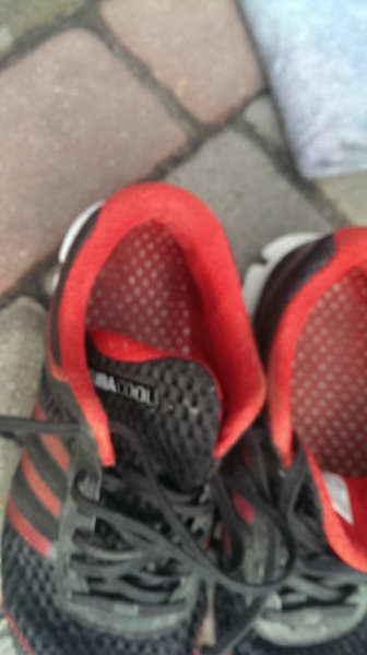 Review Adidas Climacool Ride