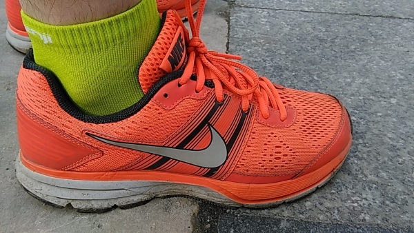 Review Nike Air Pegasus+ 29