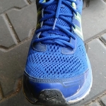 Review Nike Air Pegasus+ 29 