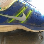 Review Nike Air Pegasus+ 29 