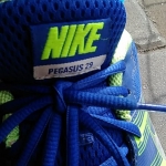 Review Nike Air Pegasus+ 29 